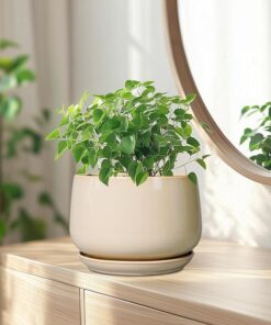 Modern Ceramic Flower Pot. - Image 4